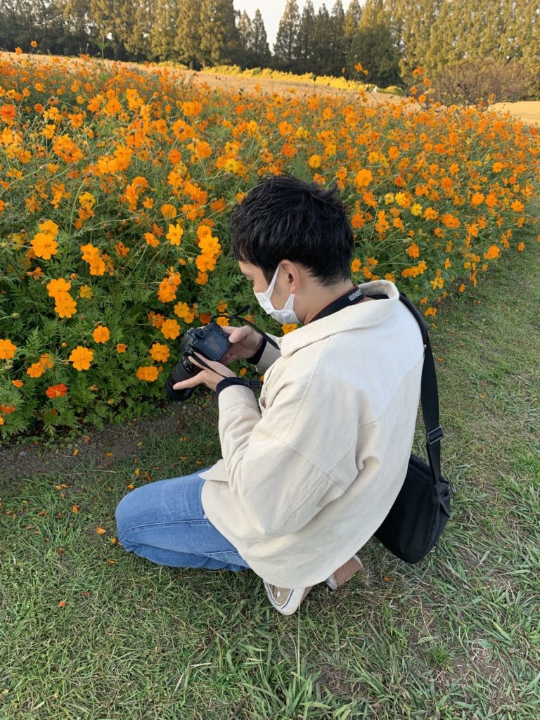 生駒高原のコスモスと写真をチェックする男性の写真