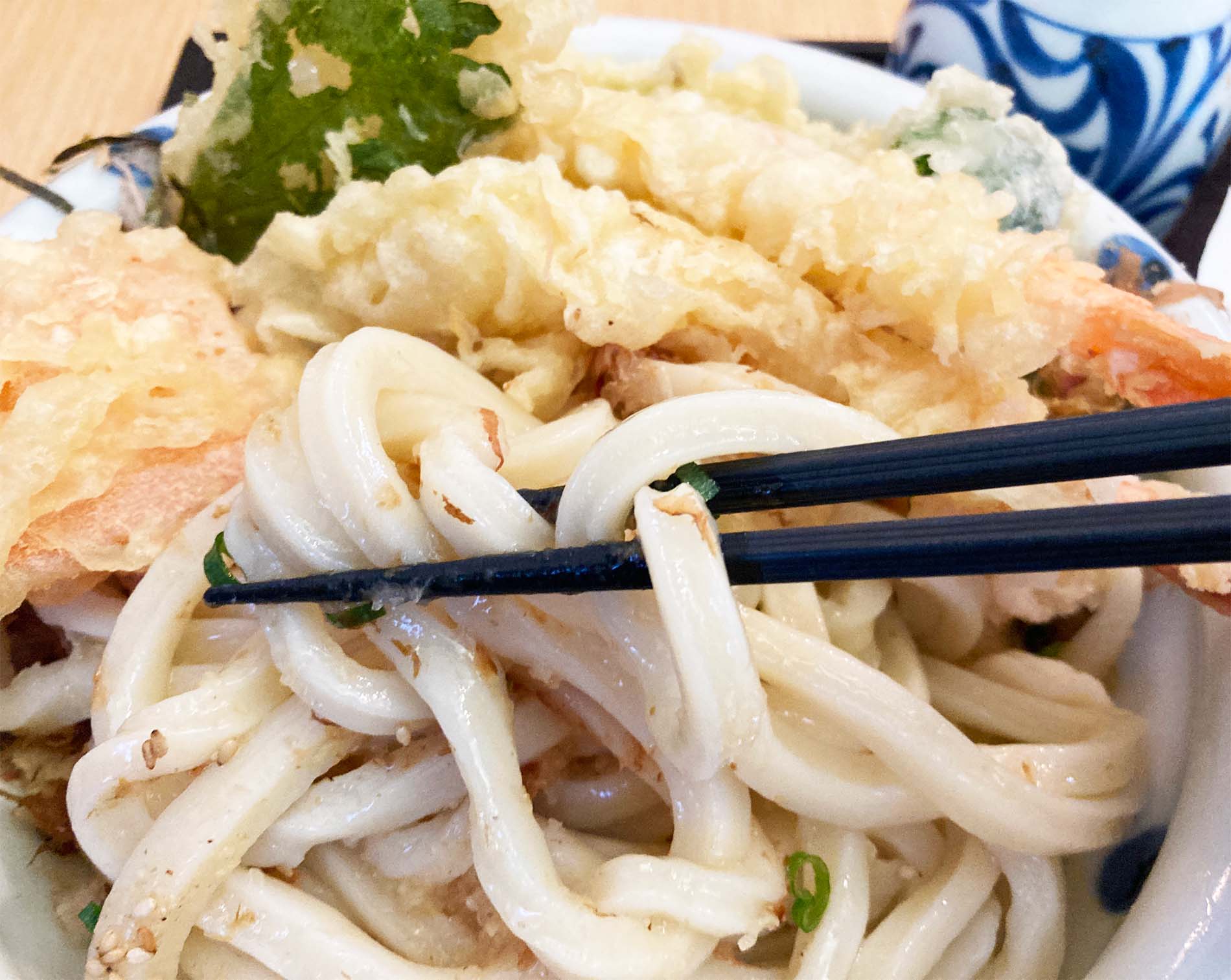 宮崎市：麺ごころにし平のうどんの写真